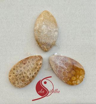 Cabochon Tropfen versteinerte Koralle – Regeneration & Gemeinschaft